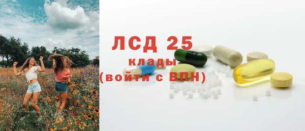 шишки Нягань