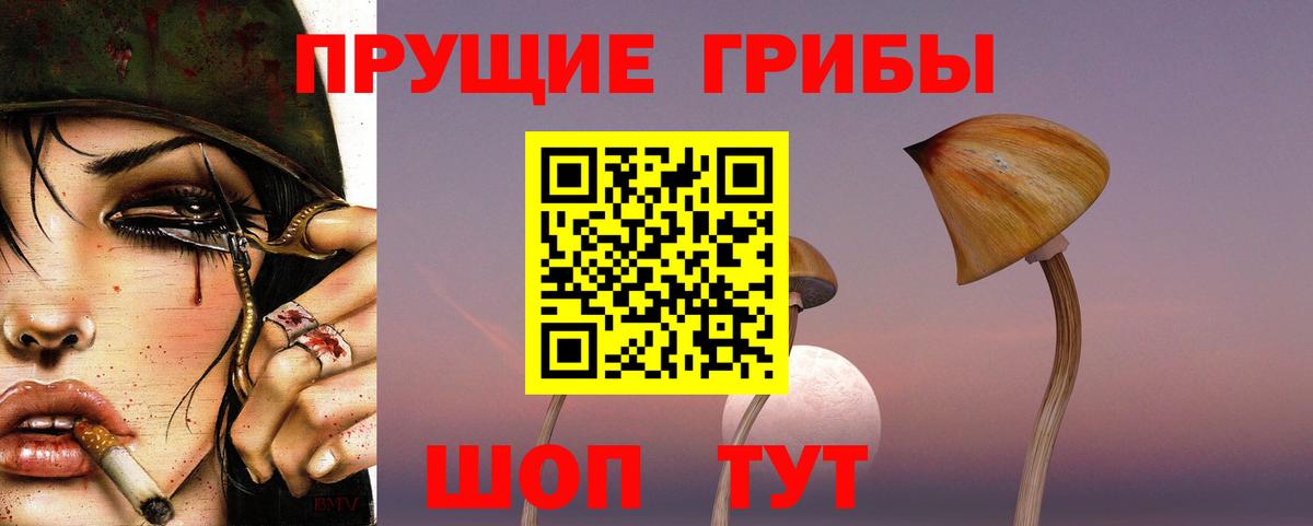 Галлюциногенные грибы Cubensis Ухта